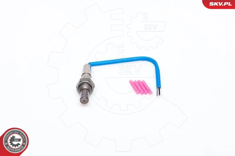 Oxygen Sensor